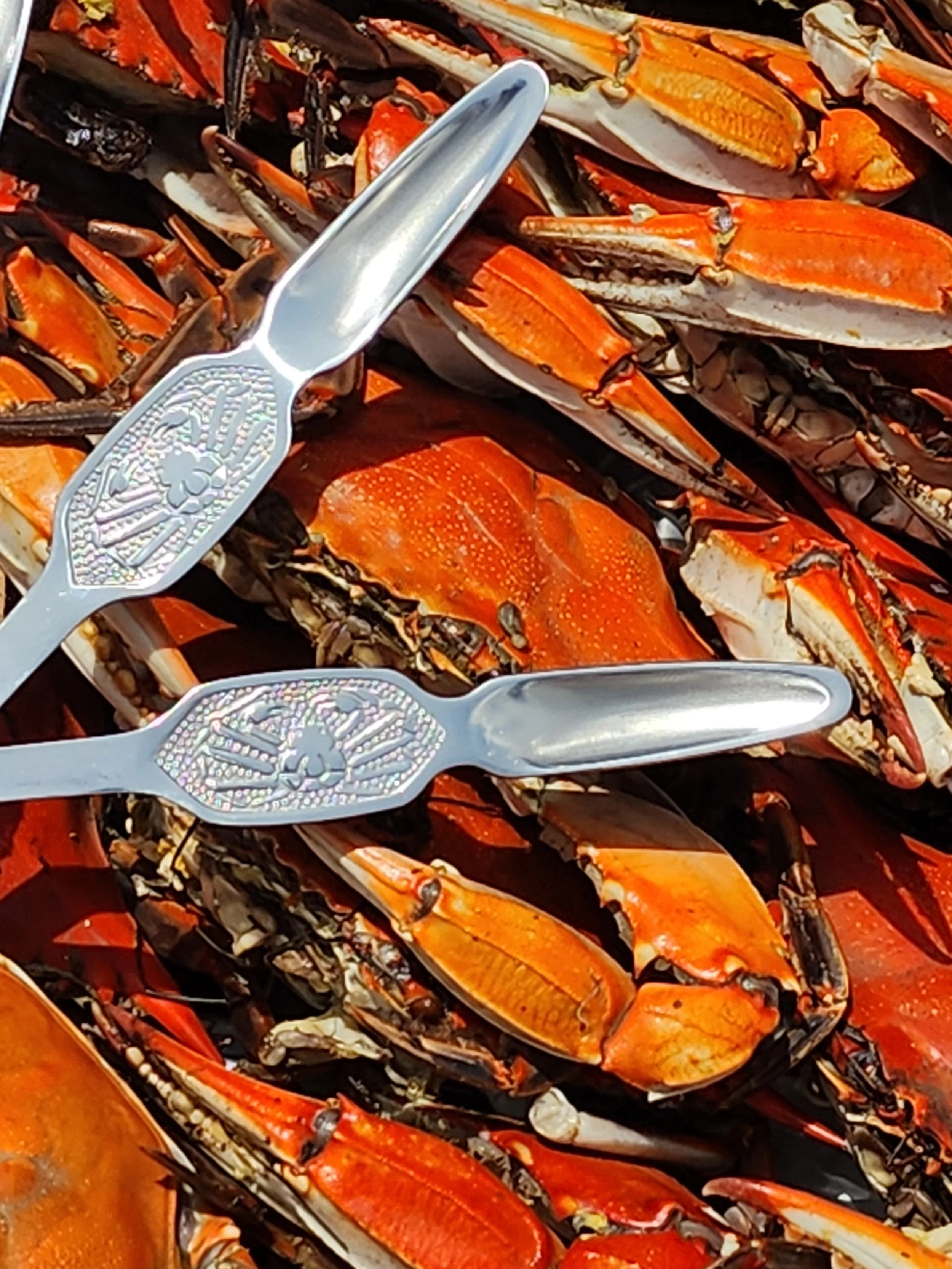 Stainless Steel Crab Pick — Washington Crab